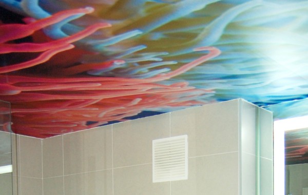 Baño con techo pintado